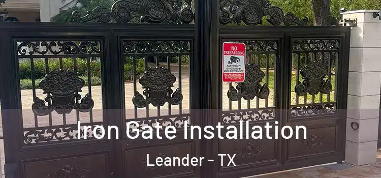 Iron Gate Installation Leander - TX